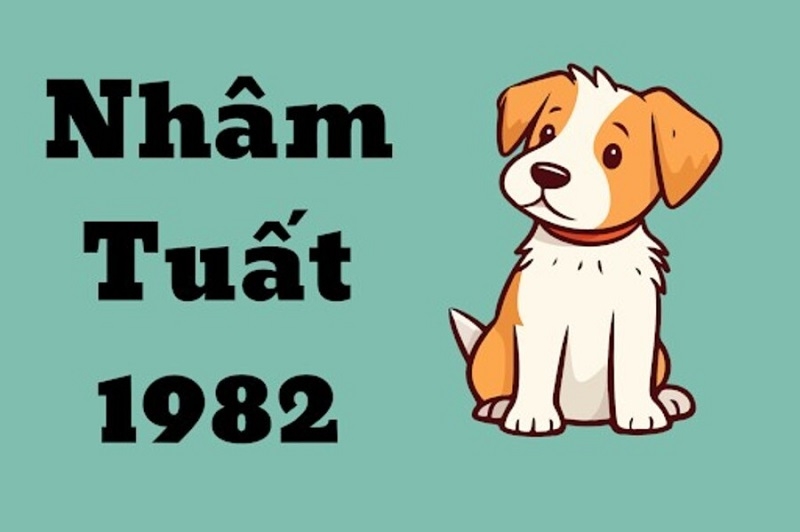 1982 số phận là gì ảnh 2