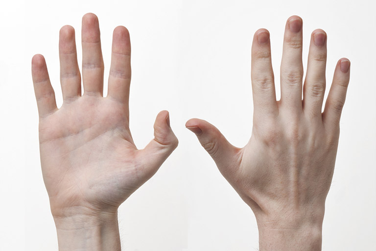 Bàn tay: Cấu tạo, Chức Năng và Vấn Đề Thường Gặp