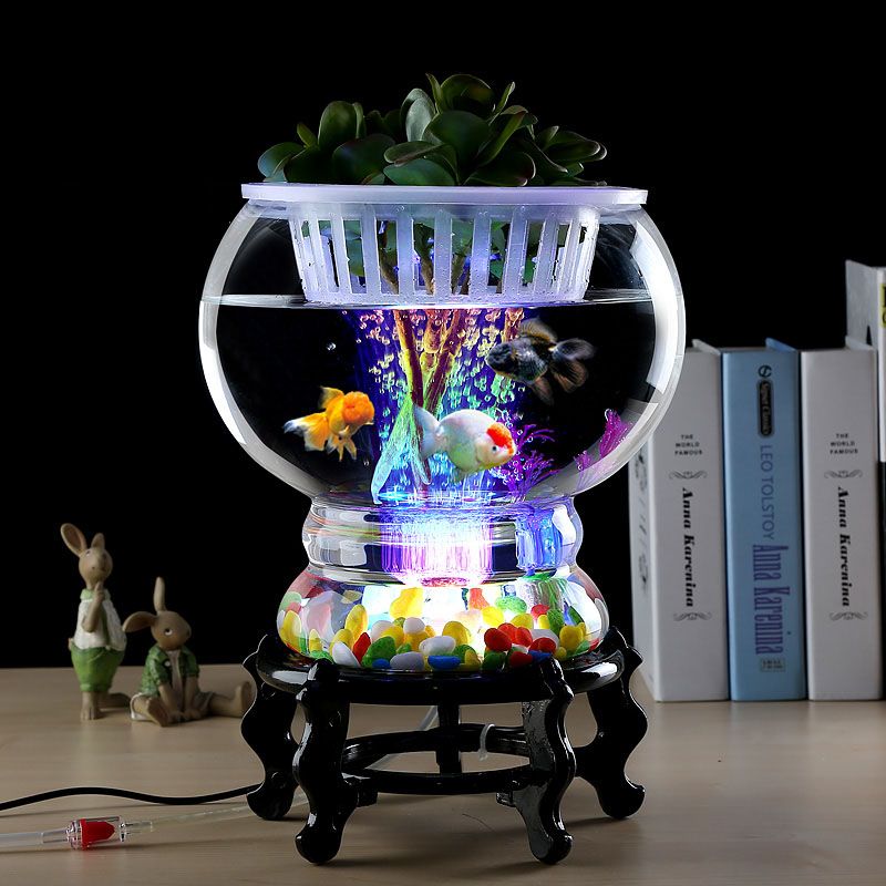 Bể cá mini văn phòng