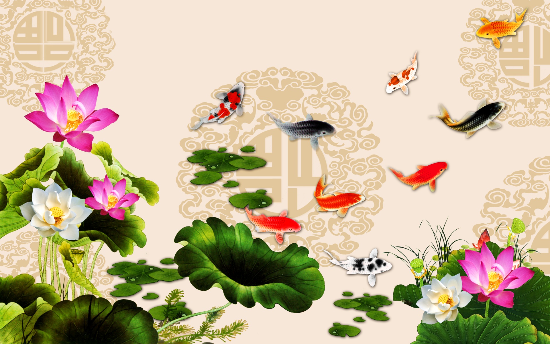 Hình nền cá chép đẹp mang nhiều may mắn