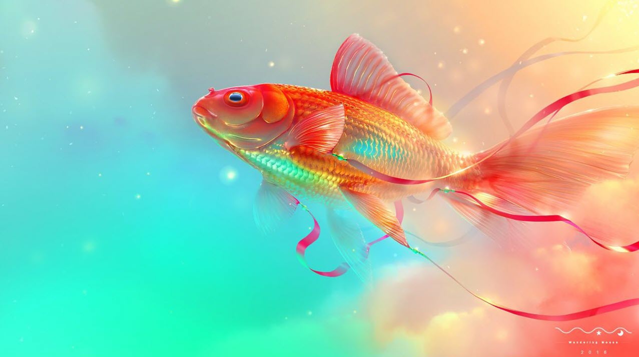 Betta Fish  Ứng dụng trên Google Play